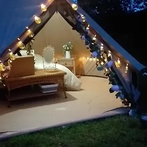 https://the-homestead.bournemouth-hotels.org